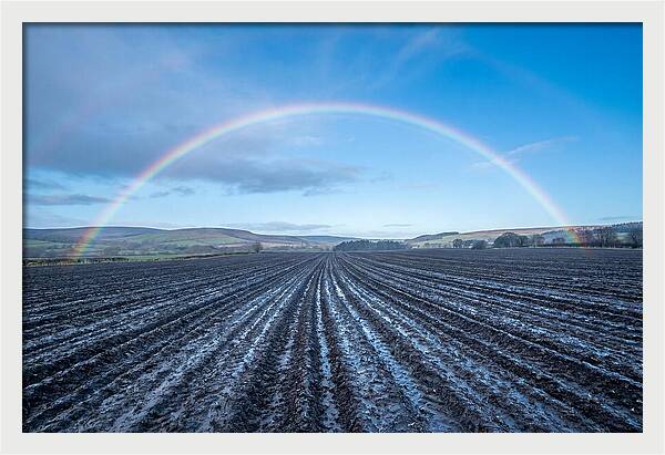 Spring Rainbow Over Plowed Field