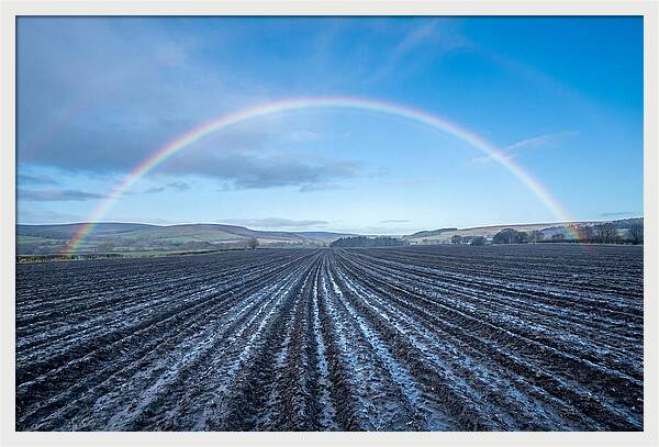 Spring Rainbow Over Plowed Field