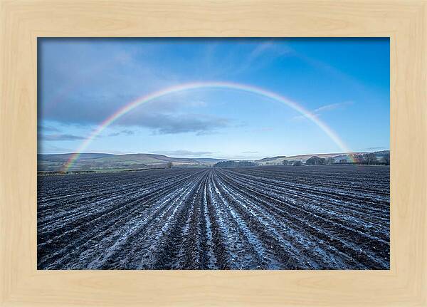 Spring Rainbow Over Plowed Field