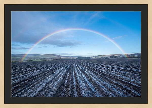 Spring Rainbow Over Plowed Field