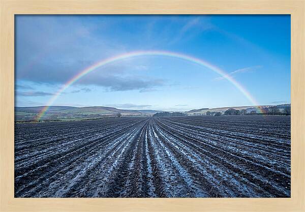 Spring Rainbow Over Plowed Field