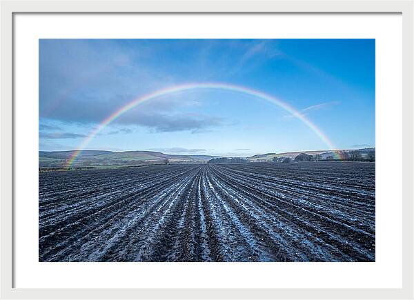 Spring Rainbow Over Plowed Field