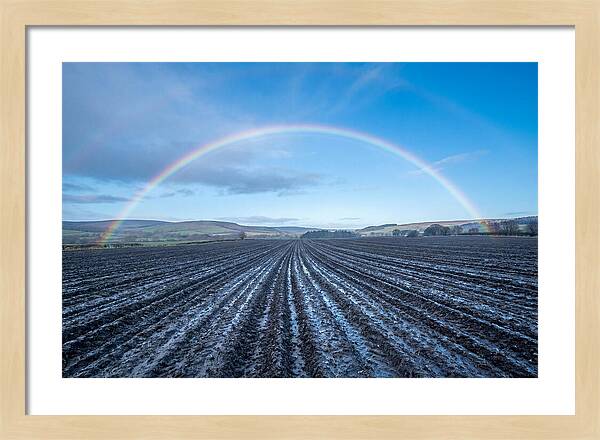 Spring Rainbow Over Plowed Field