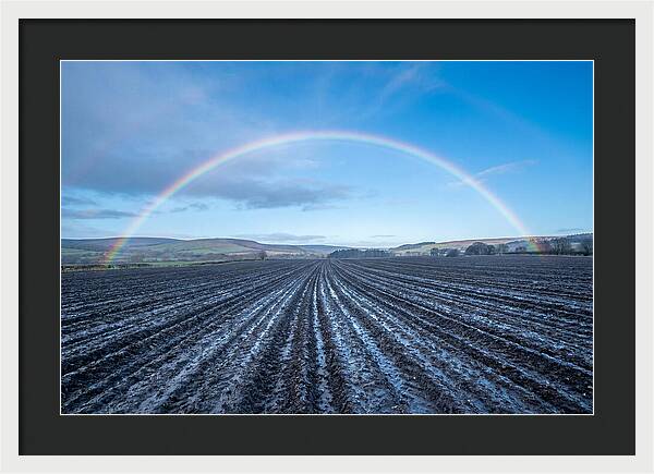 Spring Rainbow Over Plowed Field