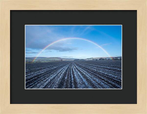 Spring Rainbow Over Plowed Field