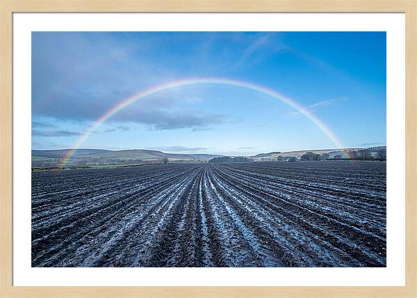 Spring Rainbow Over Plowed Field