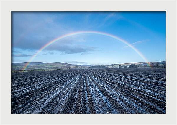 Spring Rainbow Over Plowed Field