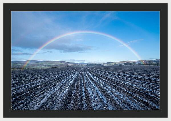 Spring Rainbow Over Plowed Field