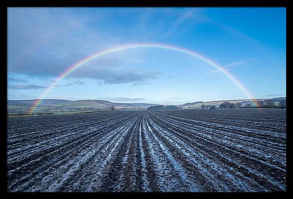 Spring Rainbow Over Plowed Field