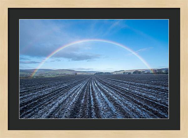 Spring Rainbow Over Plowed Field
