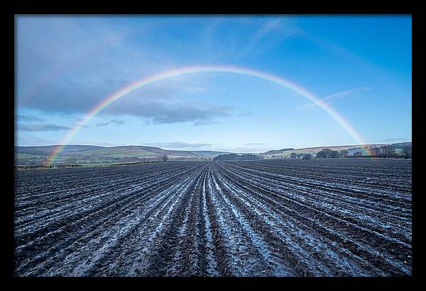 Spring Rainbow Over Plowed Field