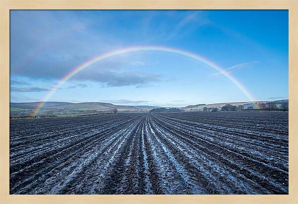Spring Rainbow Over Plowed Field