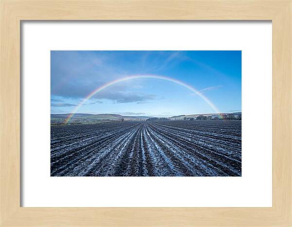 Spring Rainbow Over Plowed Field