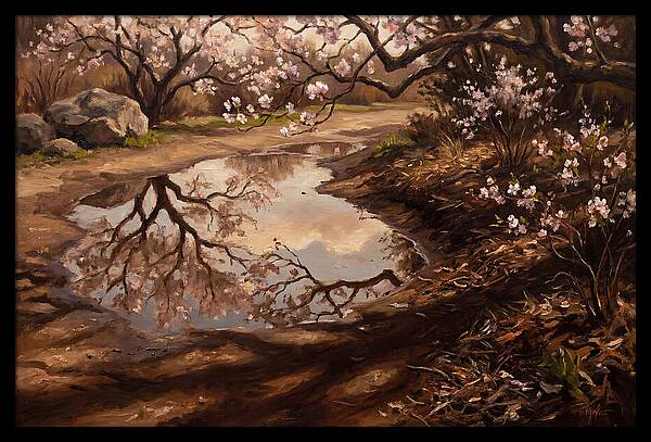 Spring Reflections In Bloom