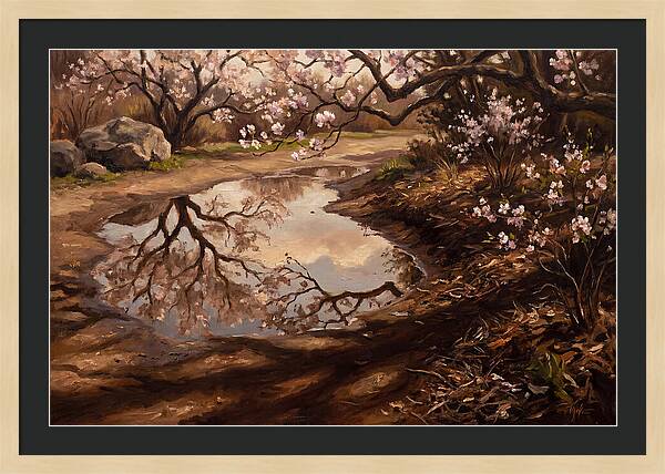 Spring Reflections In Bloom