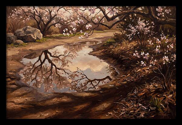 Spring Reflections In Bloom