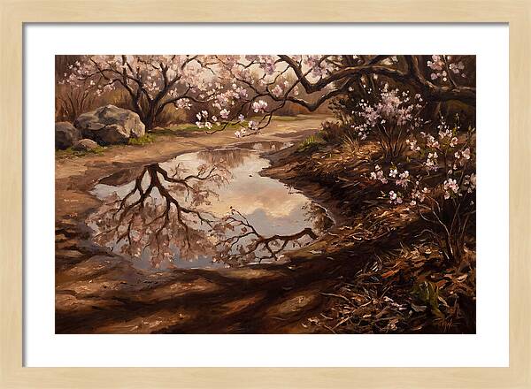 Spring Reflections In Bloom