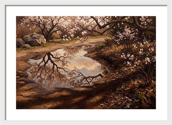 Spring Reflections In Bloom