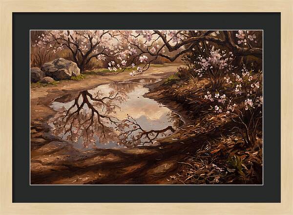 Spring Reflections In Bloom