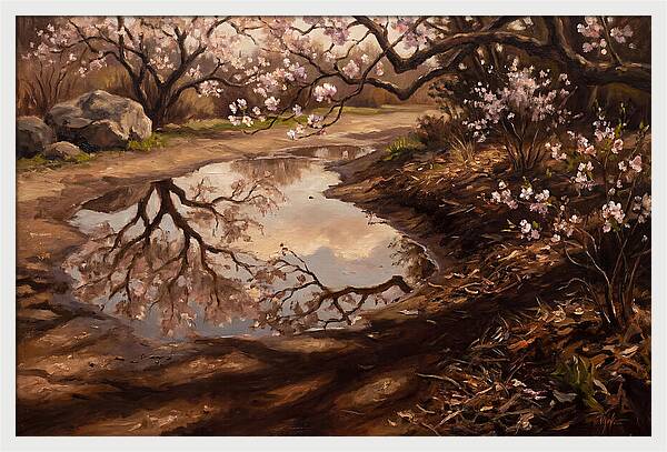 Spring Reflections In Bloom