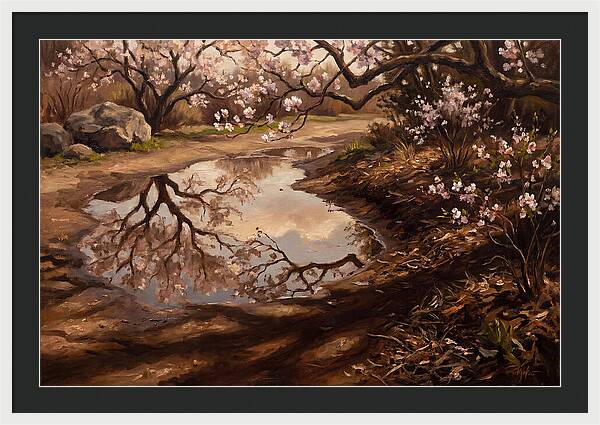 Spring Reflections In Bloom