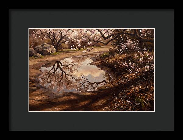 Spring Reflections In Bloom