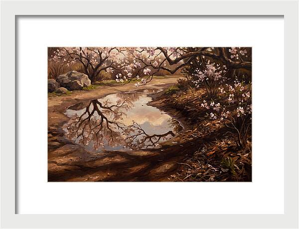 Spring Reflections In Bloom