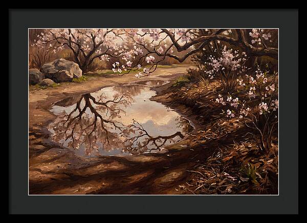 Spring Reflections In Bloom