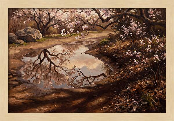 Spring Reflections In Bloom