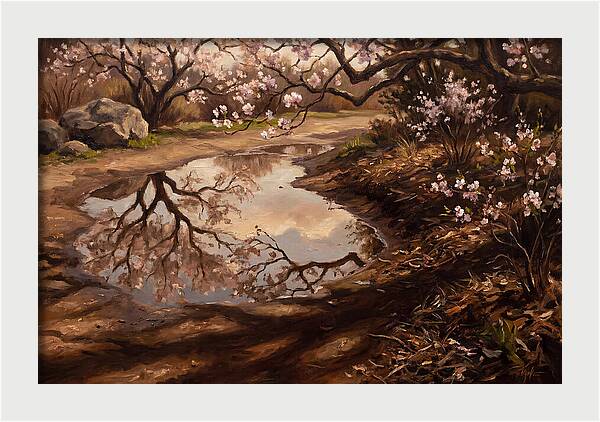 Spring Reflections In Bloom