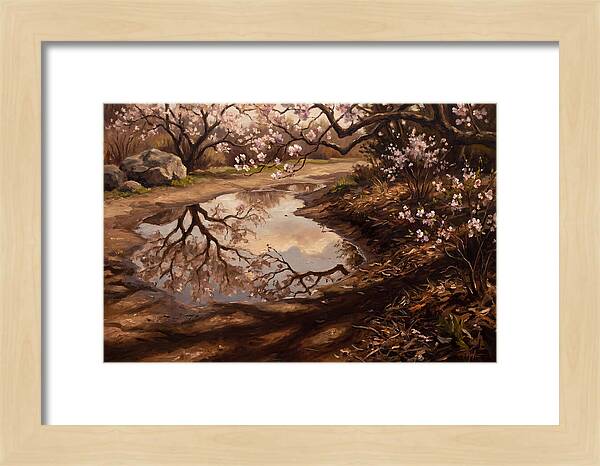 Spring Reflections In Bloom