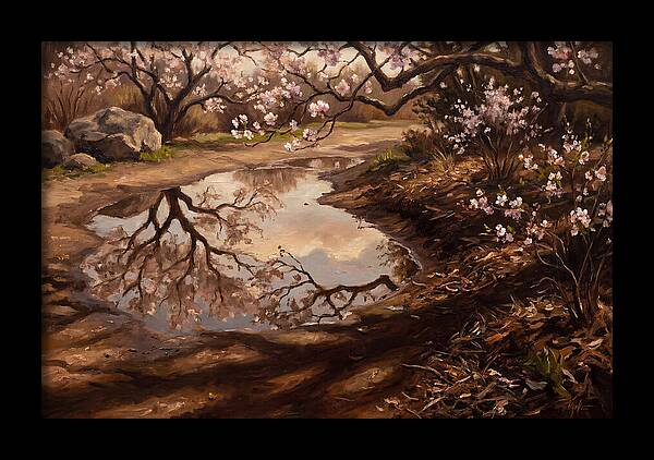 Spring Reflections In Bloom