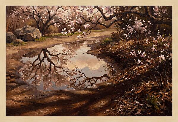 Spring Reflections In Bloom