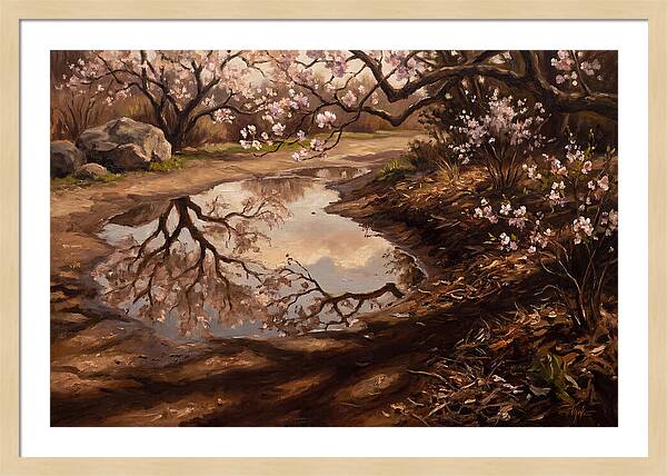 Spring Reflections In Bloom