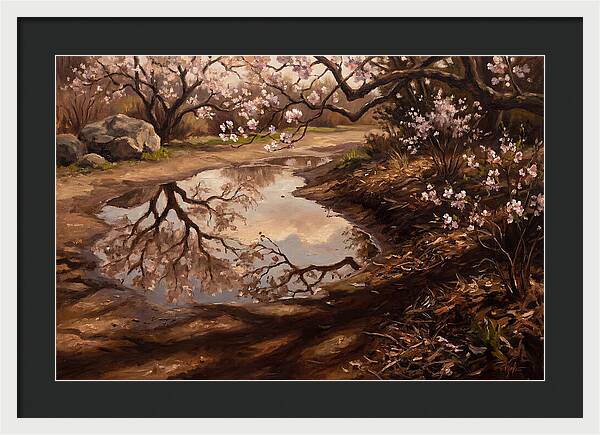 Spring Reflections In Bloom