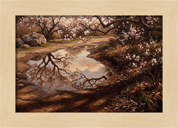 Spring Reflections In Bloom