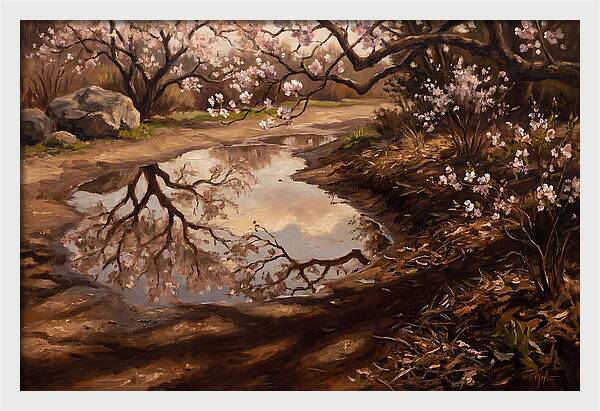 Spring Reflections In Bloom