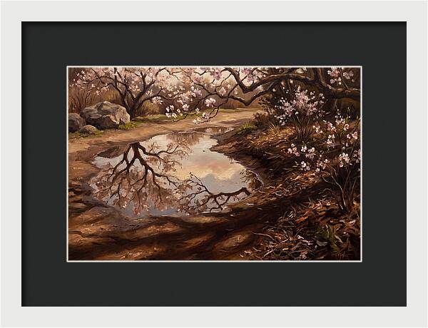Spring Reflections In Bloom