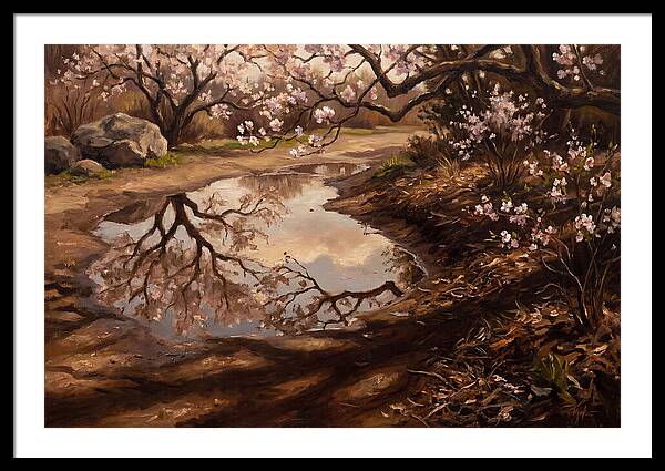 Spring Reflections In Bloom