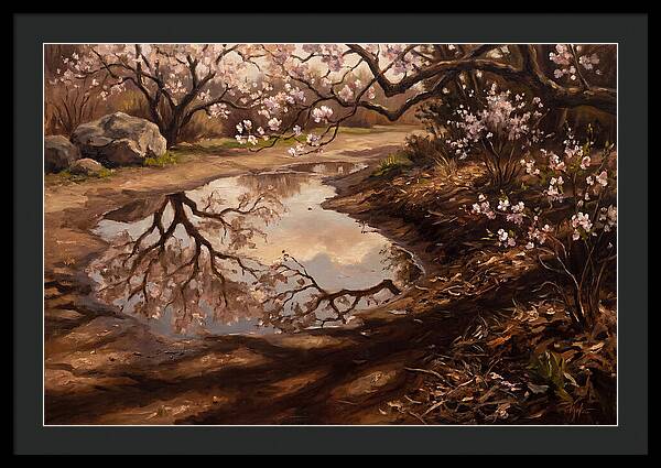 Spring Reflections In Bloom