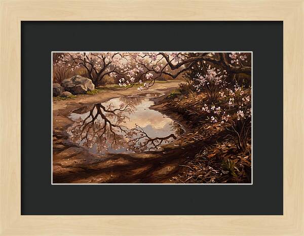 Spring Reflections In Bloom