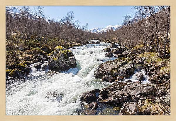 Spring River Rushing With Snowmelt