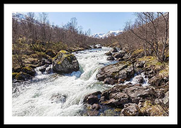 Spring River Rushing With Snowmelt