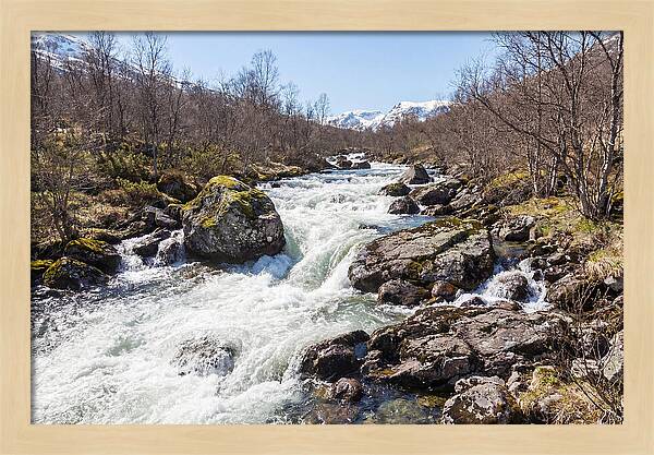 Spring River Rushing With Snowmelt