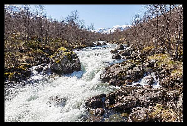 Spring River Rushing With Snowmelt
