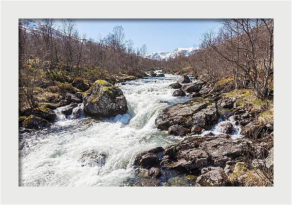 Spring River Rushing With Snowmelt