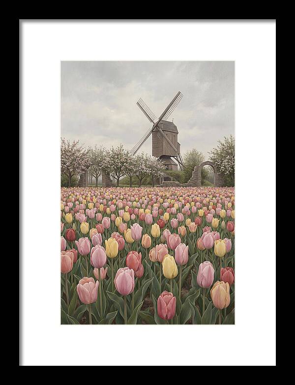 Spring Tulip Field With Windmill
