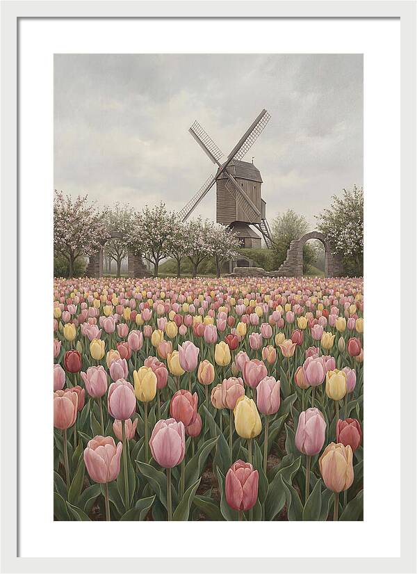 Spring Tulip Field With Windmill