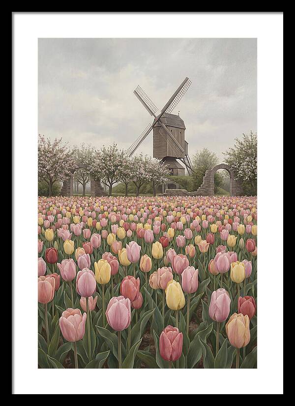 Spring Tulip Field With Windmill