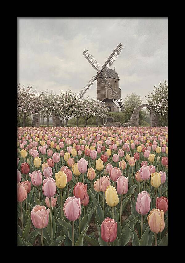 Spring Tulip Field With Windmill